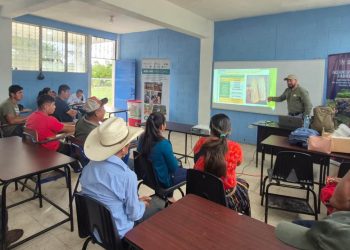 Productores de Poptún fortalecen la producción de maíz y frijol