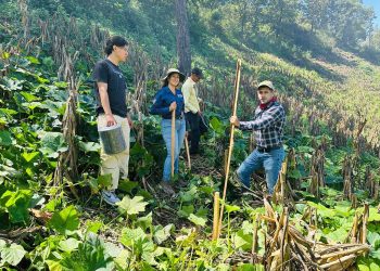 Establecen parcelas demostrativas del programa Suelos y Agua para el Futuro en Santa Cruz El Chol
