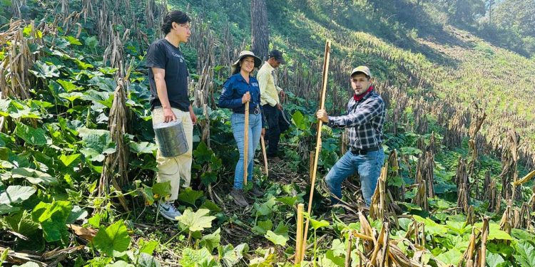 Establecen parcelas demostrativas del programa Suelos y Agua para el Futuro en Santa Cruz El Chol