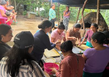 Realizan taller de transformación de alimentos en Comapa