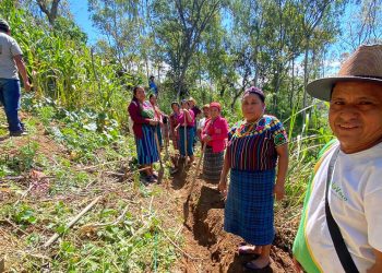 Promueven la sostenibilidad productiva y la infiltración de agua en Cubulco