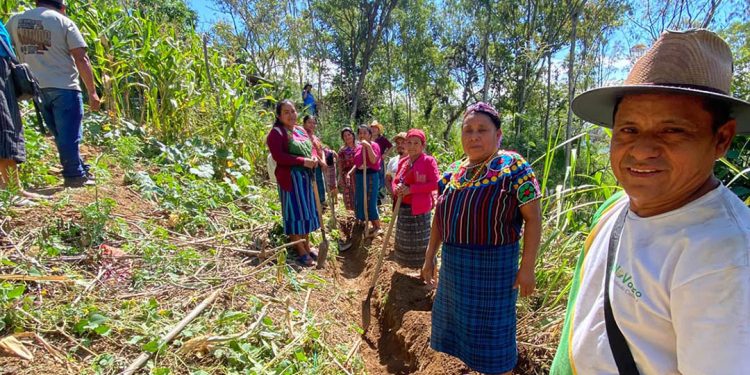 Promueven la sostenibilidad productiva y la infiltración de agua en Cubulco