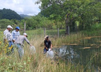 Comunidades de Dolores y Poptún fortalecen producción acuícola