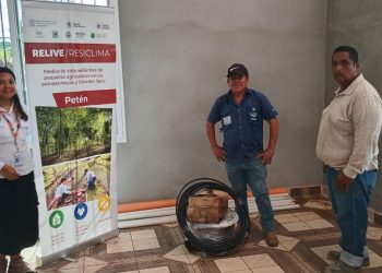 Sistemas agroforestales favorecen producción rural en San Luis, Petén