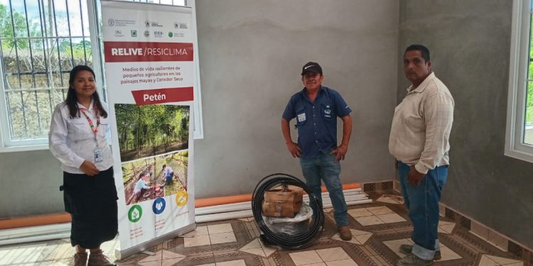 Sistemas agroforestales favorecen producción rural en San Luis, Petén