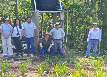 Supervisan parcelas productivas para optimizar el riego y el cultivo de hortalizas en Zacapa