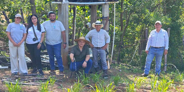 Supervisan parcelas productivas para optimizar el riego y el cultivo de hortalizas en Zacapa