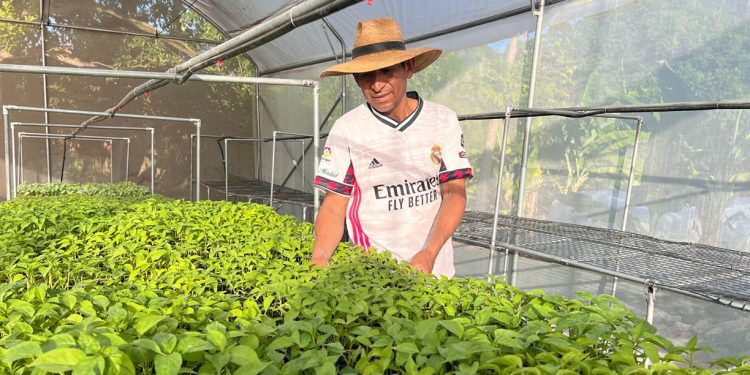 Tecnología e innovación abren oportunidades para productores de San Juan Ermita