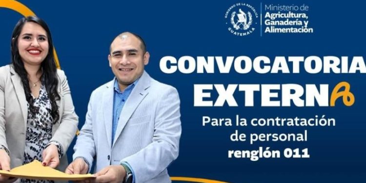Convocatoria externa | Asesor profesional Especializado I