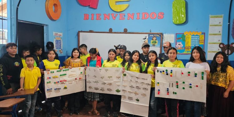 Jóvenes de Tamahú preservan el sistema vigesimal maya mediante actividades lúdicas