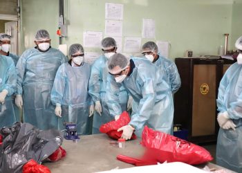 Refuerzan acciones para la vigilancia de la rabia en animales