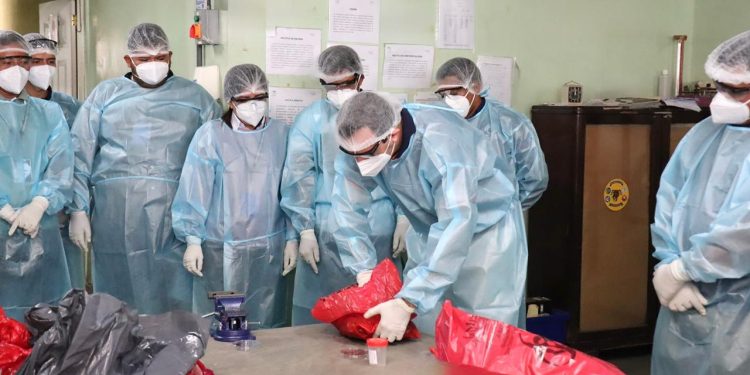 Refuerzan acciones para la vigilancia de la rabia en animales