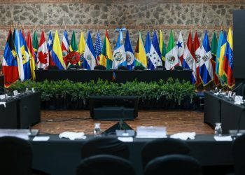 Proceso participativo marca el camino hacia la 100.ª Reunión del IIN-OEA