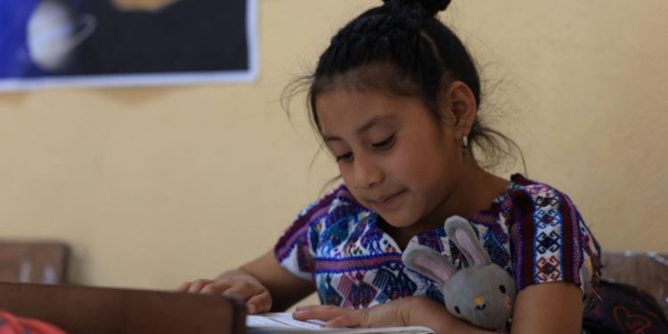 Mineduc crea carrera de Magisterio de Primaria Bilingüe Intercultural