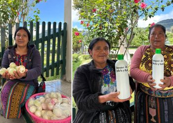 Agricultoras comparten experiencias para fortalecer la adaptación al cambio climático