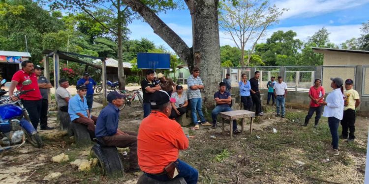 En Poptún impulsan sistemas agroforestales para producir alimentos
