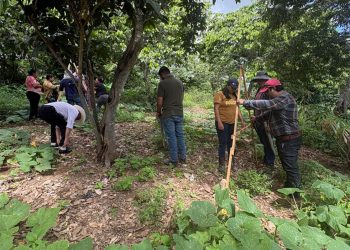 Agricultores de Monjas aprenden técnicas para conservar la humedad del suelo