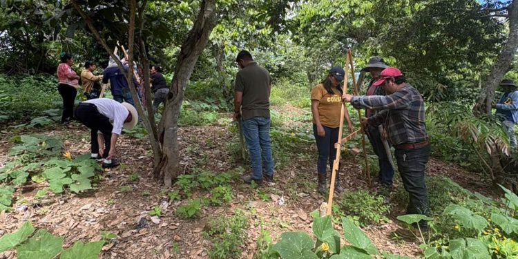 Agricultores de Monjas aprenden técnicas para conservar la humedad del suelo