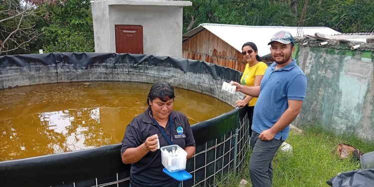 Fortalecen las buenas prácticas acuícolas en Melchor de Mencos, Petén