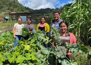 Estrategia Mano a Mano apoya producción de más de 50 mil familias rurales