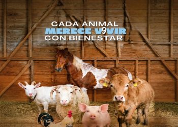 2 de octubre | Día Mundial de los Animales de Granja