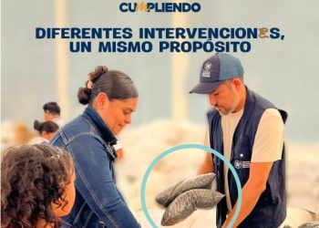 La seguridad alimentaria se construye con acciones concretas
