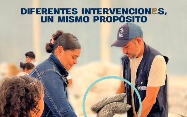 La seguridad alimentaria se construye con acciones concretas