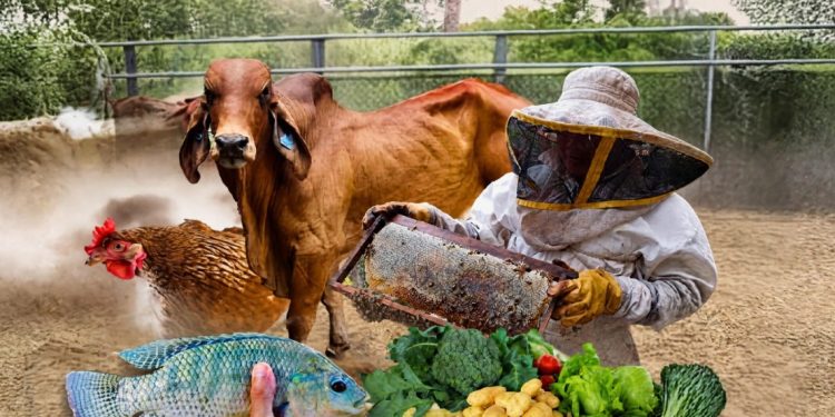 ¿Es usted productor agropecuario o hidrobiológico?
