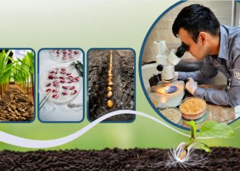 Servicios que brinda el Laboratorio Nacional de Análisis de Calidad de la Semilla