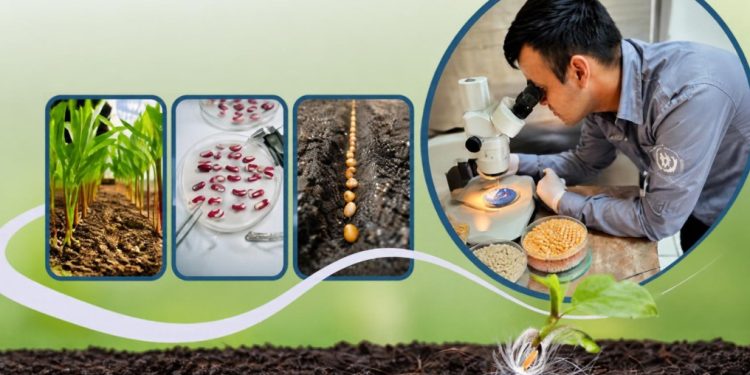 Servicios que brinda el Laboratorio Nacional de Análisis de Calidad de la Semilla