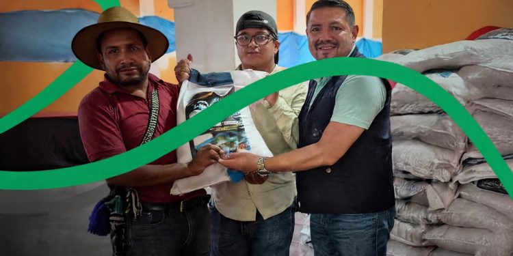 Más de 50 mil familias recibieron insumos para producción