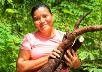 15 de octubre | Día Internacional de las Mujeres Rurales