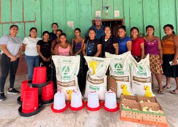 Producción de pollo de engorde impulsa la seguridad alimentaria en El Chal