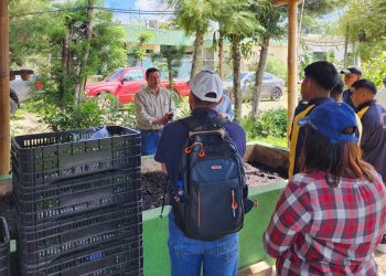 Jóvenes exploran la producción agropecuaria y la alimentación saludable