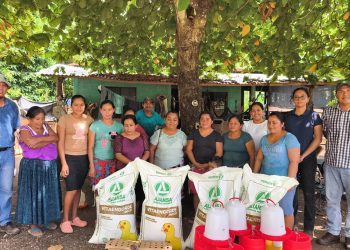 Producción avícola familiar se fortalece en los 14 municipios de Petén