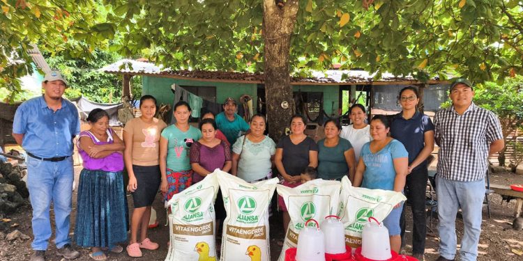 Producción avícola familiar se fortalece en los 14 municipios de Petén