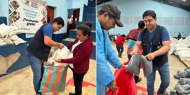 Familias reciben alimentos por construcción de gallineros y acciones en huertos