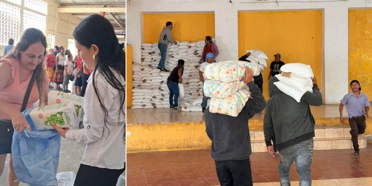 Alimentos llegan a familias en situación de inseguridad alimentaria