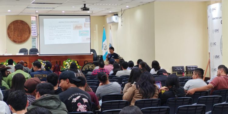 Estudiantes y profesionales de Huehuetenango se preparan para detectar el Gusano Barrenador
